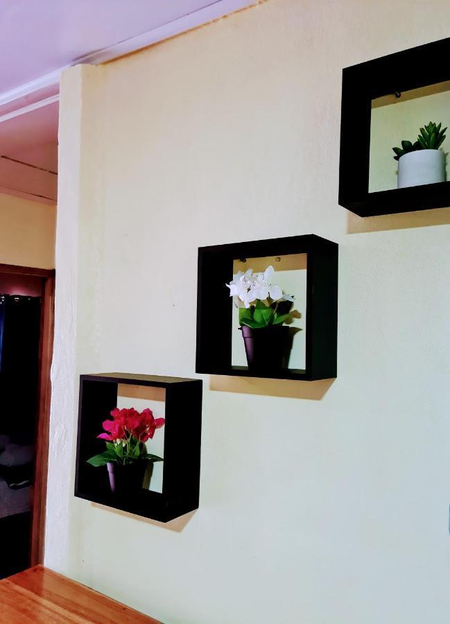 Jungle Beach Bungalow With Ac & Fiber Optic Puerto Viejo de Talamanca 외부 사진
