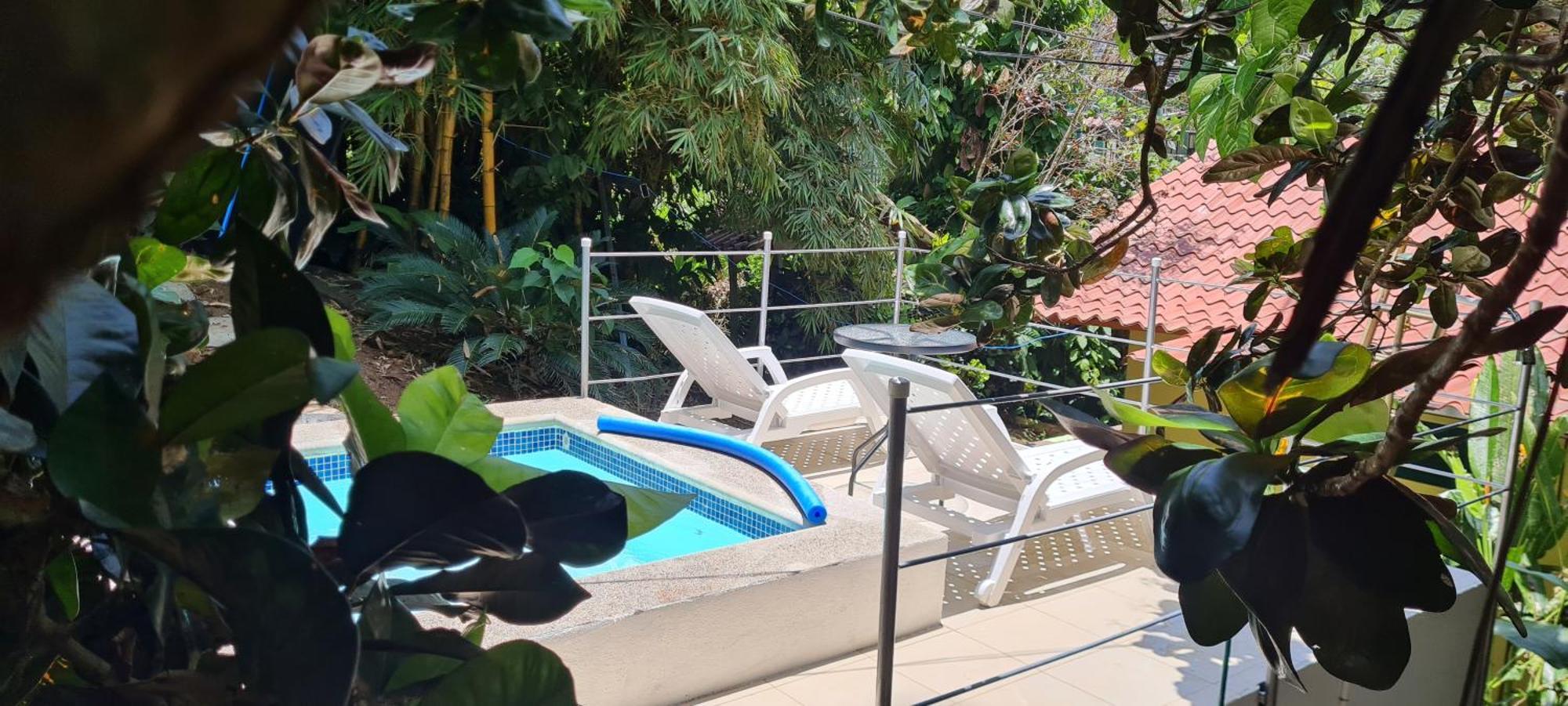 Jungle Beach Bungalow With Ac & Fiber Optic Puerto Viejo de Talamanca 외부 사진
