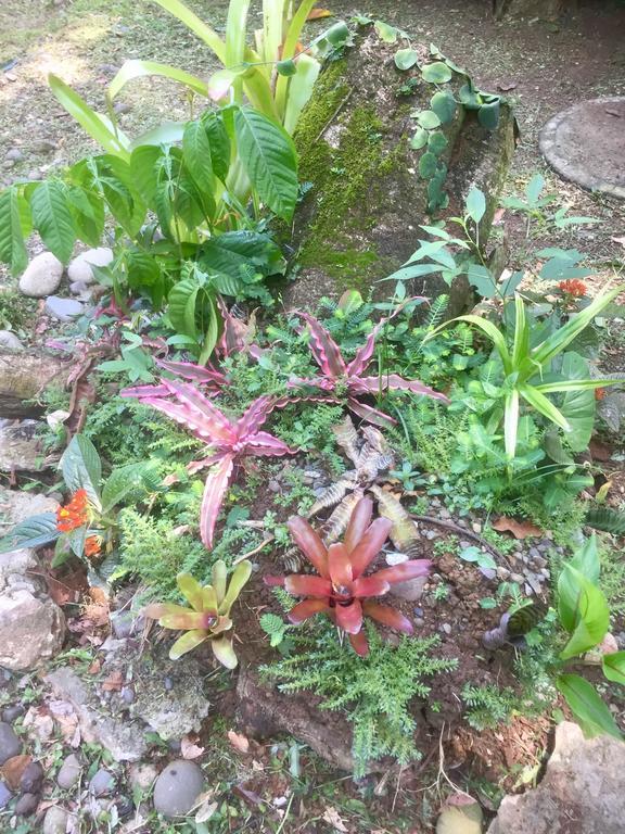 Jungle Beach Bungalow With Ac & Fiber Optic Puerto Viejo de Talamanca 외부 사진